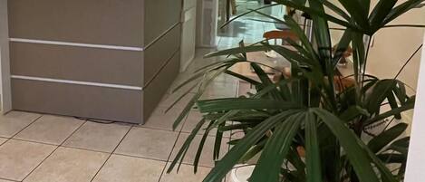 A reception area with a counter, a potted plant, and a wall with a logo.