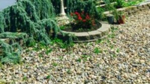 A house with a white exterior, a driveway with gravel, and a garden with various plants and a small fountain.