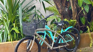 Una bicicleta turquesa con una canasta y un asiento, estacionada frente a una pared con follaje de fondo.