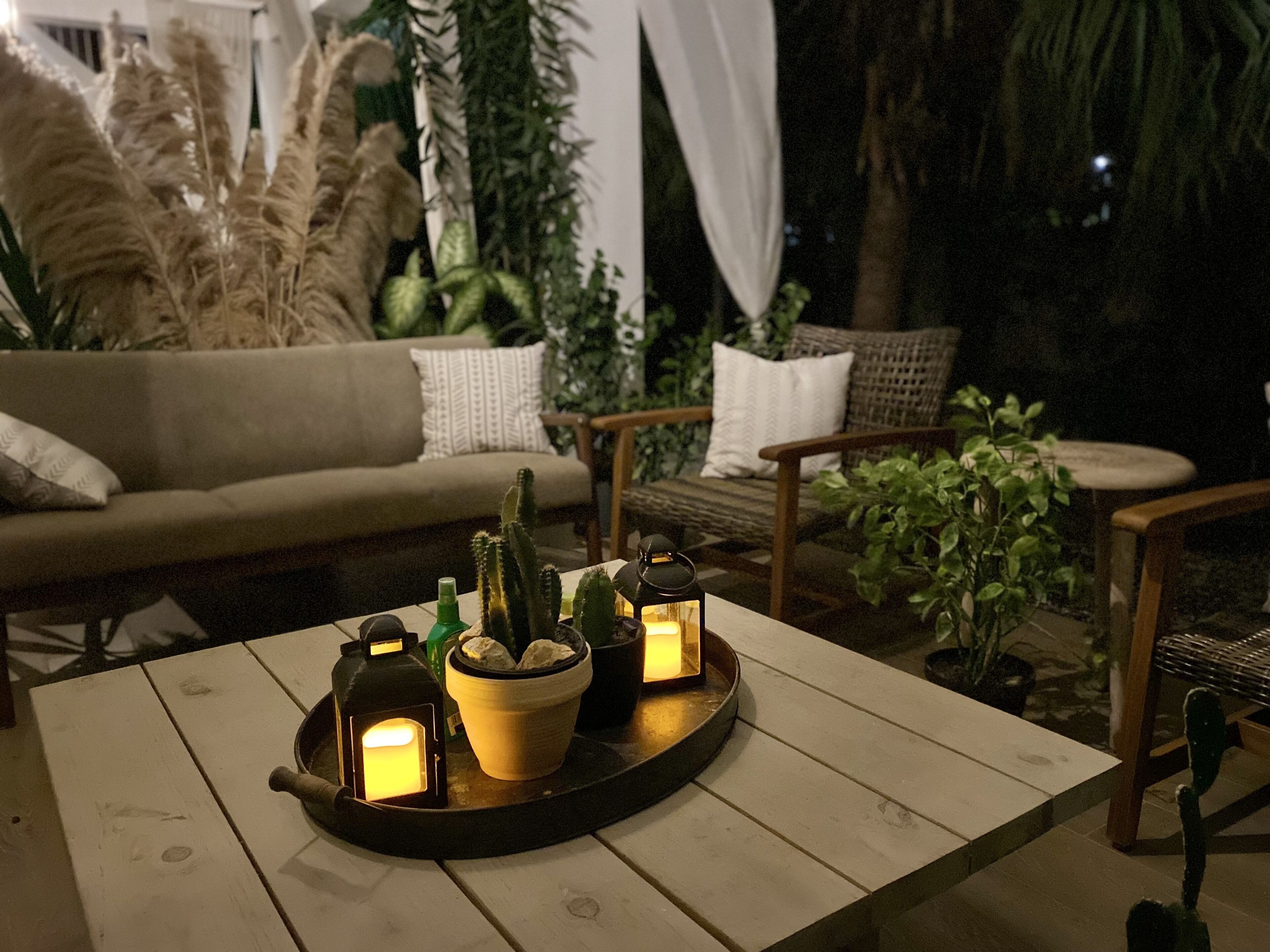 A cozy outdoor seating area with a wooden table, a sofa, and chairs, surrounded by various plants and cacti.