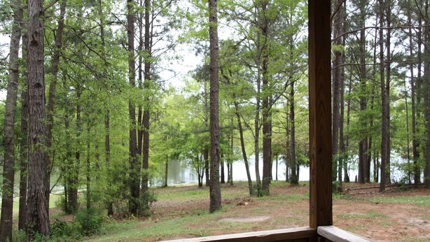 A forested area with a wooden deck overlooking a lake. - studio rm w/ full kitchen, 1 bth , private deck, & WiFi @ Kick Back Ranch. (Ramer)