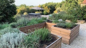 Un jardin agrémenté de jardinières en bois surélevées où sont plantées différentes espèces, d’un banc en bois et d’une pergola surmontée d’une toiture.