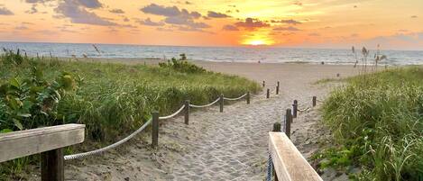 Plage à proximité, chaise longue, serviettes de plage