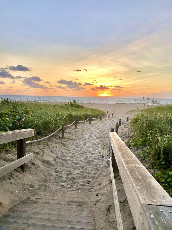 Plage à proximité, chaises longues, serviettes de plage