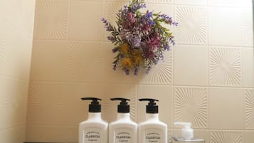 Hair dryer, towels, soap, shampoo