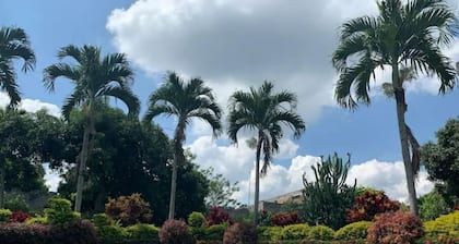 San Francisco de Asis