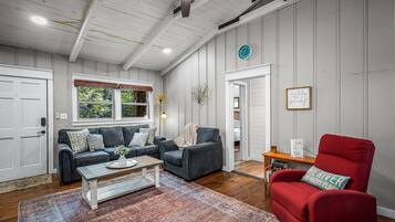 Smart TV, fireplace, books