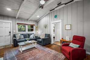 Smart TV, fireplace, books