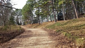 A dirt path leading through a forested area with a house in the background.