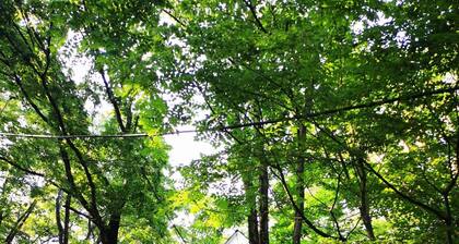 Rental of a hideaway lodge full of nature on the - Nasu Sanso / Nasu-gun Tochigi