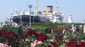 صورة غير مصنفة، 5 من 15، زرّ