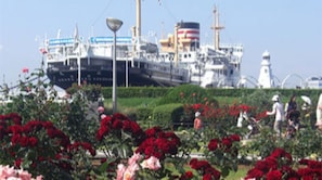 صورة غير مصنفة، 5 من 15، زرّ