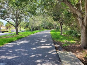 Property grounds - Clearwater near Largo Tiny House  Pets OK (Largo)