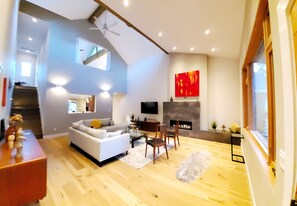 TV, fireplace, books