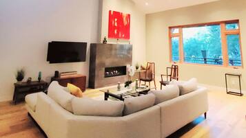 Télévision, cheminée, livres