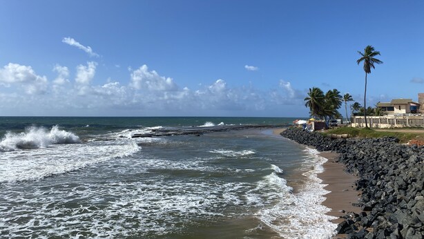 Ein Strand mit felsiger Küste, Palmen und blauem Himmel.