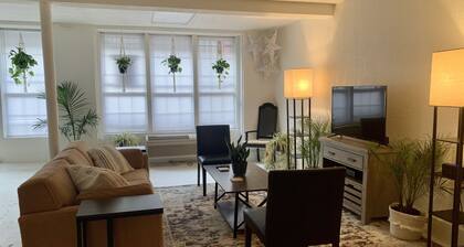 Trendy & Spacious Apartment on Chicken Alley, in the heart of Downtown Asheville