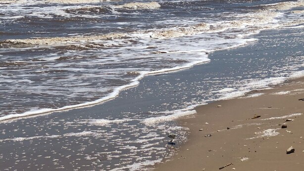 A beach with waves, scattered debris, and a clear sky. - Getaway By The Bay Unit 1 (Sargent)