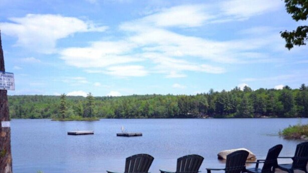A lakeside view with chairs and a dock.