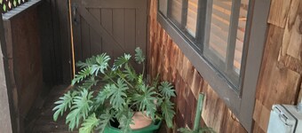 Cabin located in Hidden Valley canyon San Carlos Ca