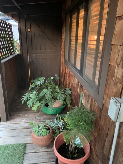 Cabin located in Hidden Valley canyon San Carlos Ca