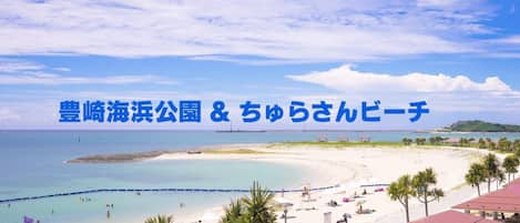 ビーチ