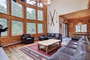 Smart TV, fireplace, books, music library