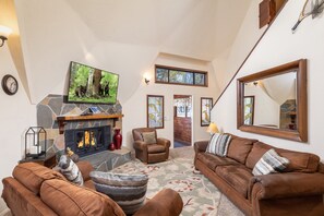 Smart TV, fireplace, books