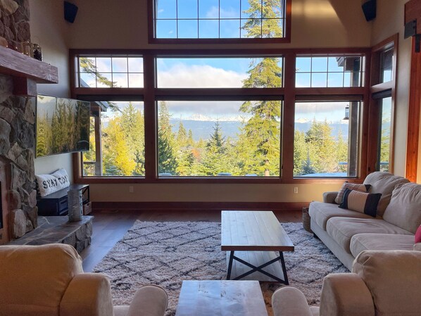 Smart TV, fireplace, books