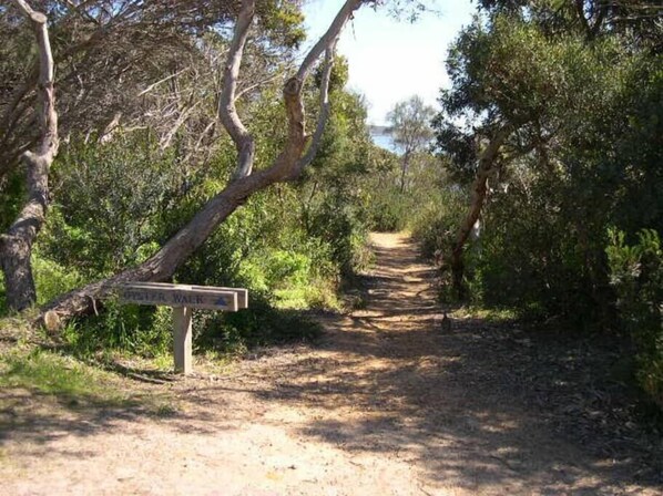 A dirt trail surrounded by dense vegetation and trees. - Almonta Apartments on the Waterfront (B) (Coffin Bay)