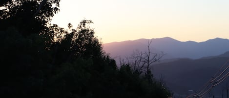 منوع