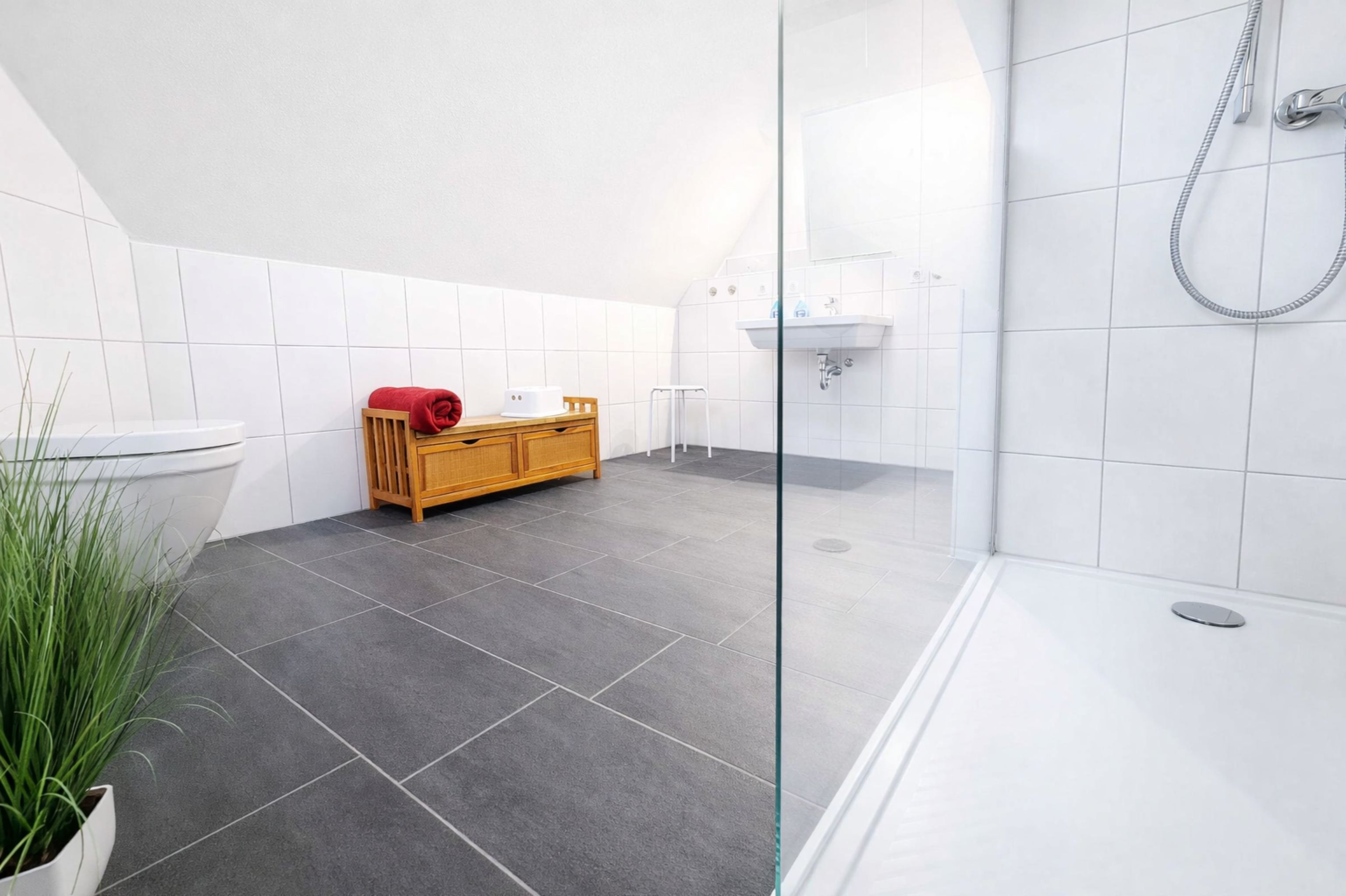 Dusche, Haartrockner, Seife