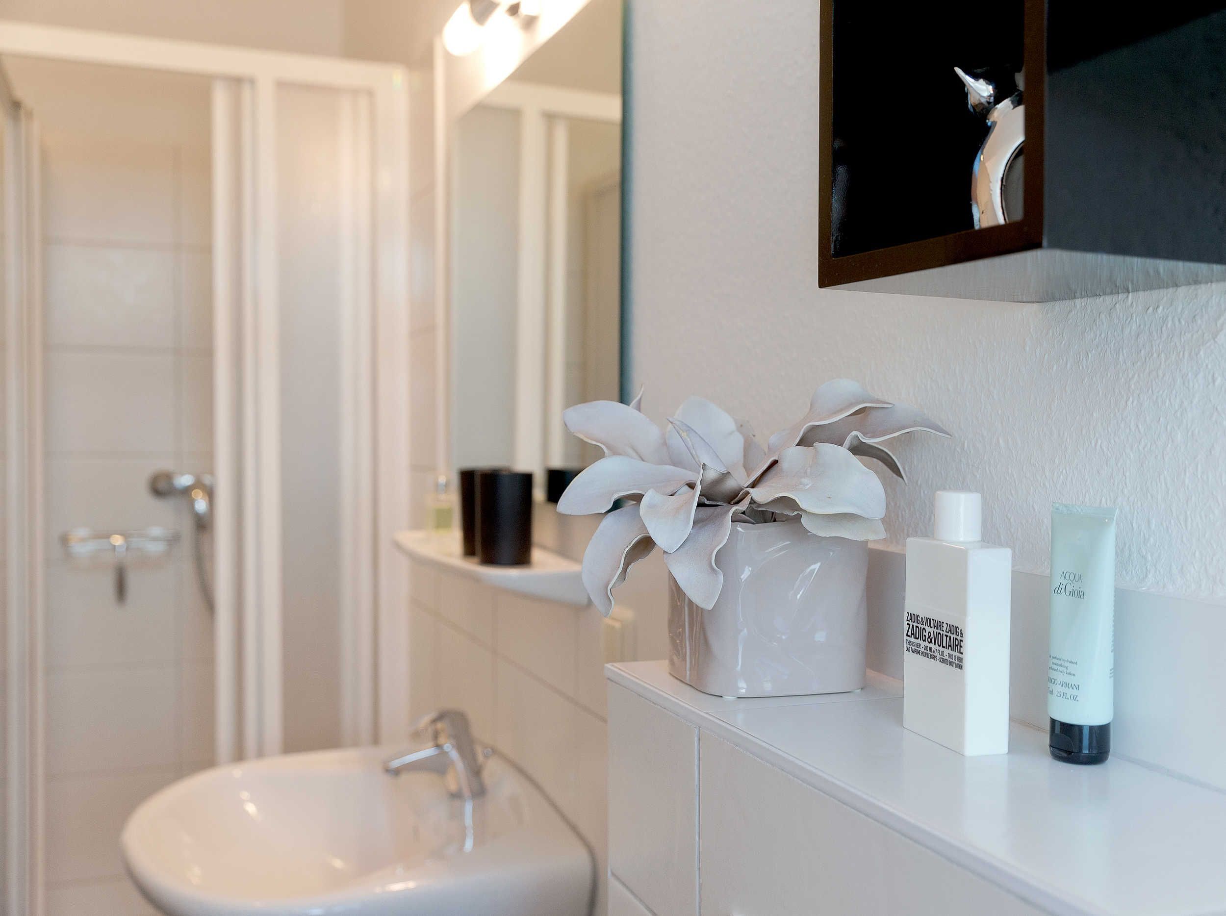 A bathroom with a white sink, a mirror, and a potted orchid.
