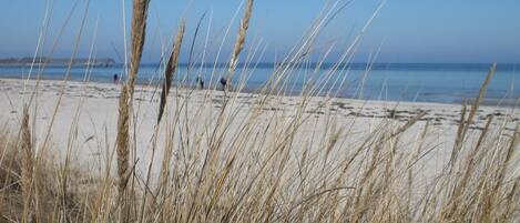 بالقرب من الشاطئ