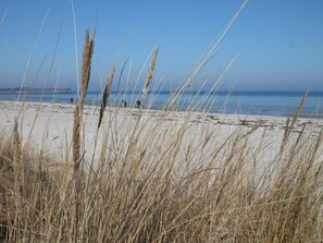 In Strandnähe