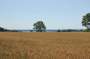 Unclassified image, 2 of 14, button