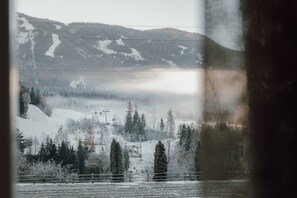 Niet-geclassificeerde afbeelding, 5 van 20, knop