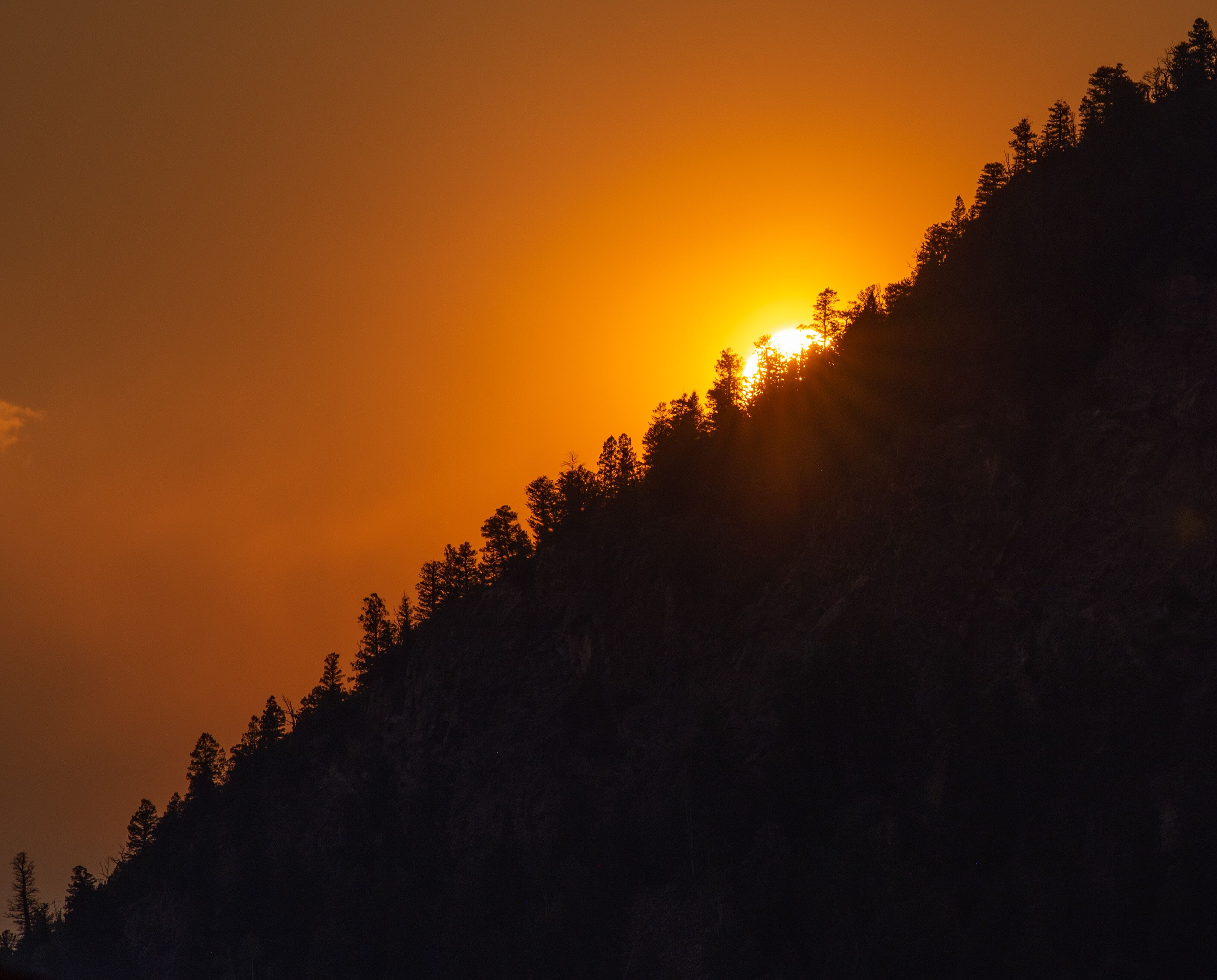 A sunset over a forested hill with trees silhouetted against the sky.