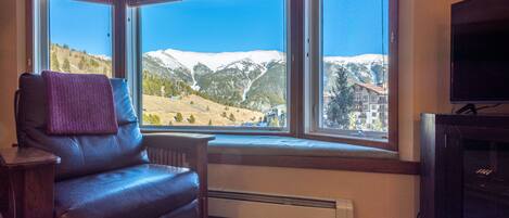 Una habitación con vistas a montañas nevadas, un sillón de cuero, un radiador y un televisor.