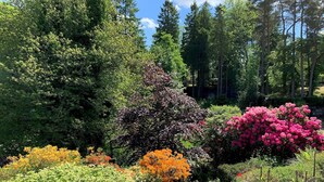 A garden with various plants and trees, a pathway, and a grassy area. - Swallows House - Four Bedroom House, Sleeps 8 (Skelwith)