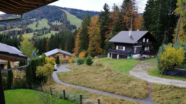 A view of a rural landscape with two houses, one with a sloped roof and another with a balcony, surrounded by trees and a winding path. - Appartement Individuel (Châtel-Saint-Denis)