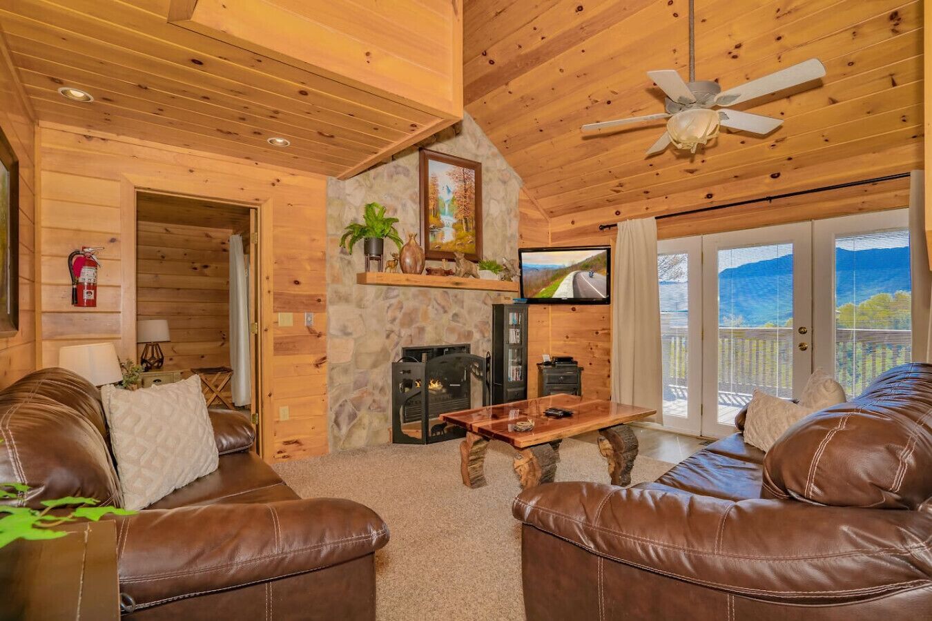 TV, fireplace, DVD player, table tennis