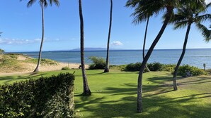 Un área con césped, palmeras y vistas al océano.