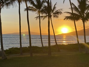 On the beach, sun-loungers, beach towels - Breathtaking ocean views!! Steps to the beach!! Recently remodeled!! (Kihei)