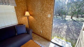 Smart TV, chimenea y libros