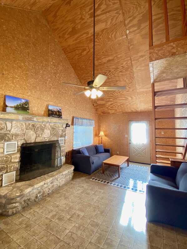 Smart TV, fireplace, books