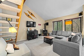 Télévision, cheminée, jeux vidéo, lecteur de DVD