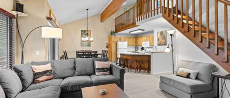 TV, fireplace, video games, DVD player