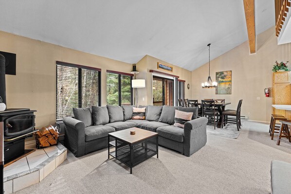 TV, fireplace, video games, DVD player