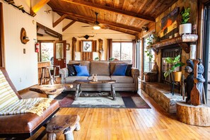 TV, fireplace, DVD player, books